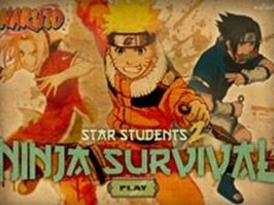 Ninja Survival Adventure