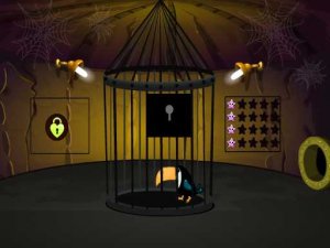 Toucan Rescue Online Puzzle Game