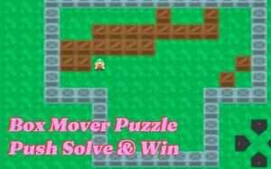 Box Mover Puzzle: Push & Solve Online Puzzle Game