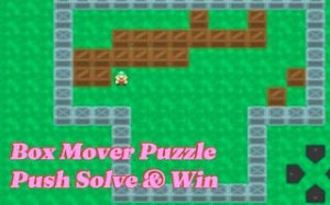 Puzzle Box Mover: Logic Challenge