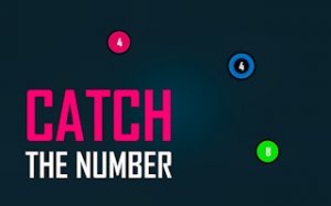 Number Catch: Math Puzzle Game