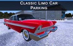 Limo Parking Challenge