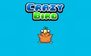 Pixel Bird Flight Arcade