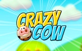Cow Roll Puzzle Journey