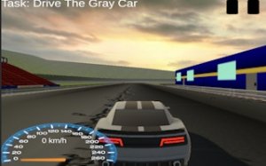 Gray Car Racing Simulator