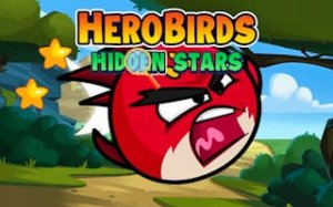 Birds Hidden Stars Puzzle