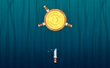 Knife Rain: Precision Thrower Online Game