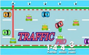 Fly Catch Challenge Arcade