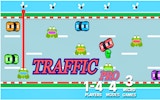 Traffic Pro: Fly Catch Challenge