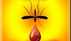 Idle MOSQUITO Online Arcade Game